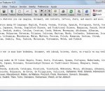 Magic Translator 8.25 Magic Translator 8.25