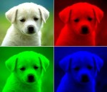 Free Batch Photo Resizer 2.3.0.1531 Free Batch Photo Resizer 2.3.0.1531
