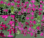BrainsBreaker Jigsaw Puzzles 5.3.1.1 BrainsBreaker Jigsaw Puzzles 5.3.1.1