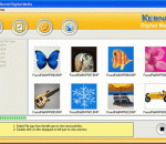 Nucleus Kernel Digital Media Recovery Software 4.02 Nucleus Kernel Digital Media Recovery Software 4.02