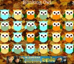 Blinking Owl Blinking Owl
